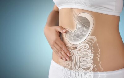 Go with your Gut: The “4 R’s” of Digestive Health