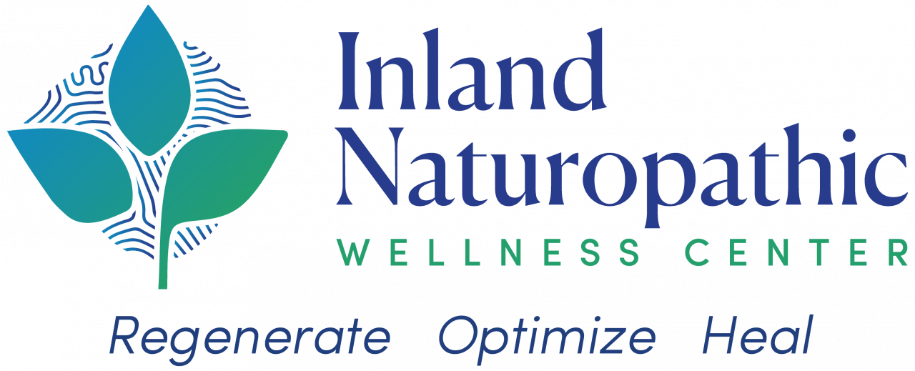 Oxymel The Honey, Vinegar, Garlic Remedy from your Kitchen Inland