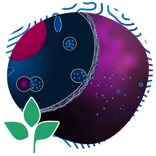 3d illustration of a cell secreting exosomes<br />
